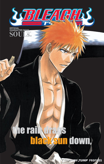 BLEACH SOULS