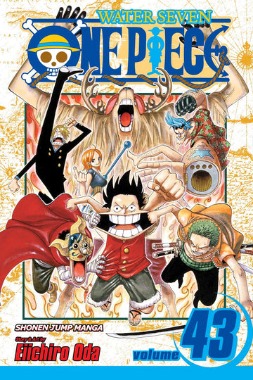 ONE PIECE 43