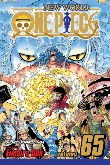 ONE PIECE 65