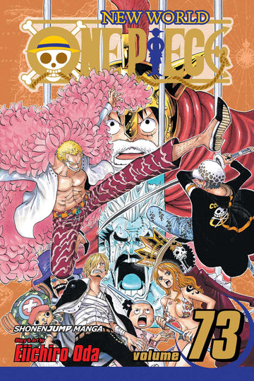 ONE PIECE 73