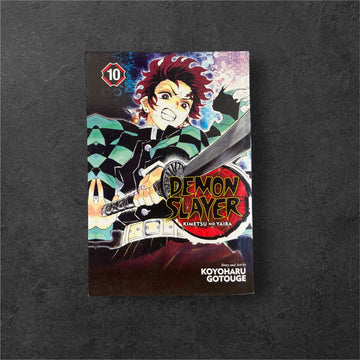 Demona Slayer VOL-10