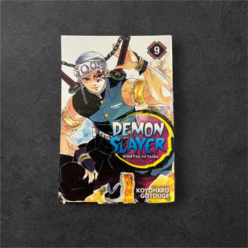 Demona Slayer VOL 9