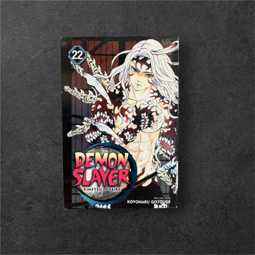 Demona Slayer VOL 22